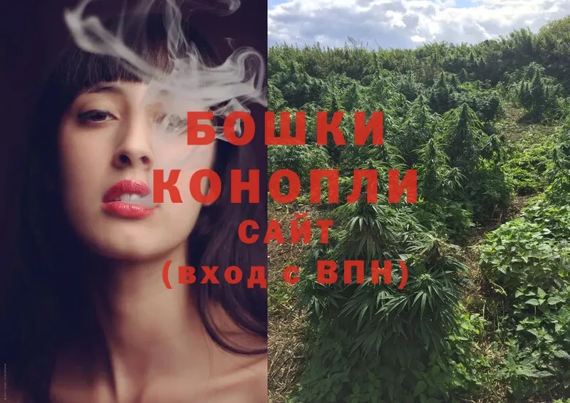 Шишки марихуана Bruce Banner  Камызяк 